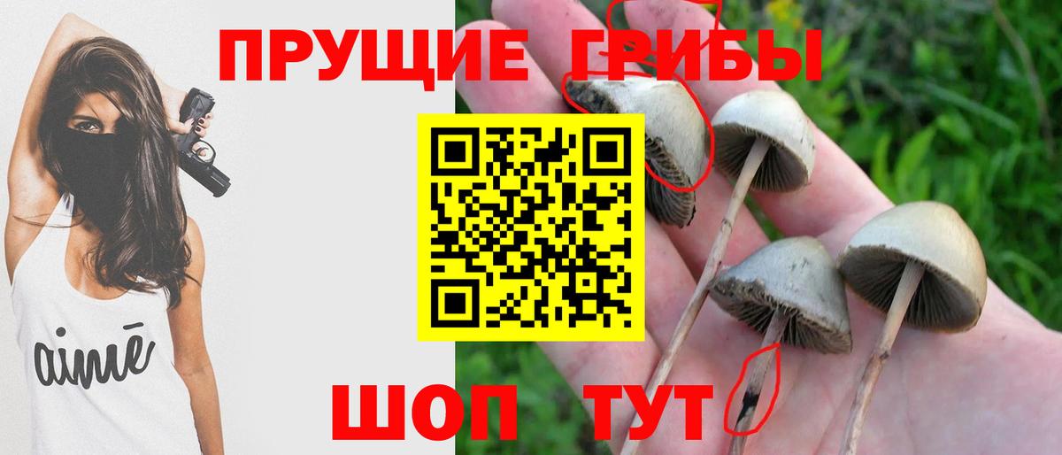 Псилоцибиновые грибы прущие грибы  Галлюциногенные грибы Magic Shrooms  Вход с VPN  Кострома 