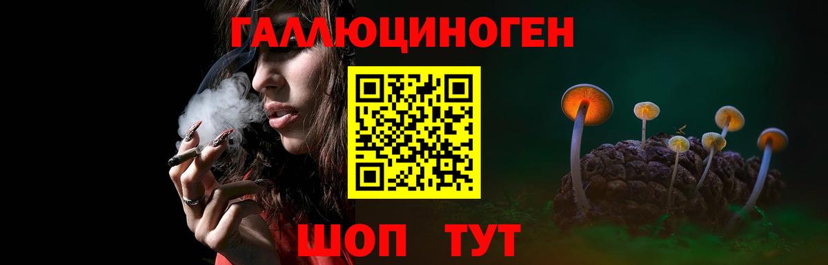 Псилоцибиновые грибы ЛСД Кострома